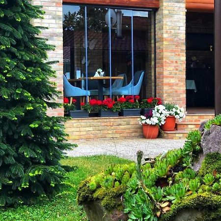 Villa Diva Budureasa Luaran gambar