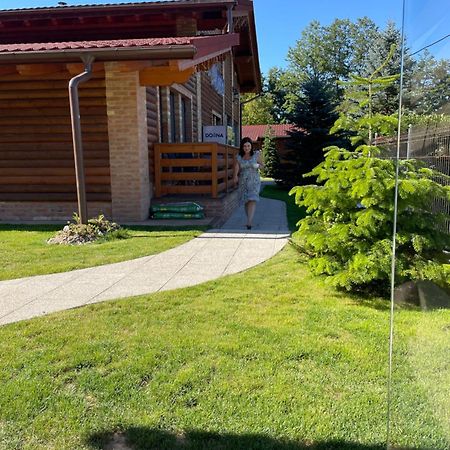 Villa Diva Budureasa Luaran gambar