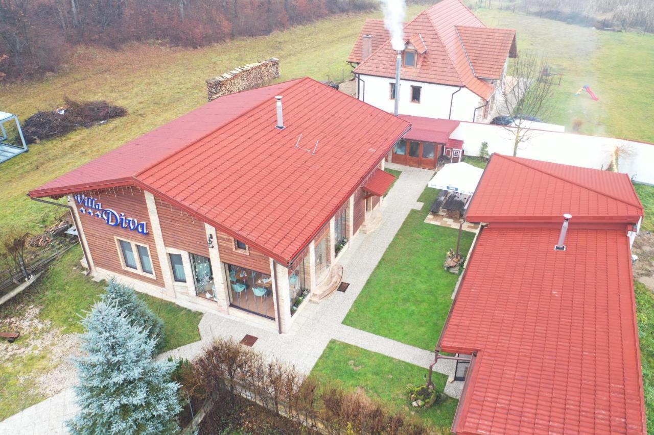 Villa Diva Budureasa Luaran gambar