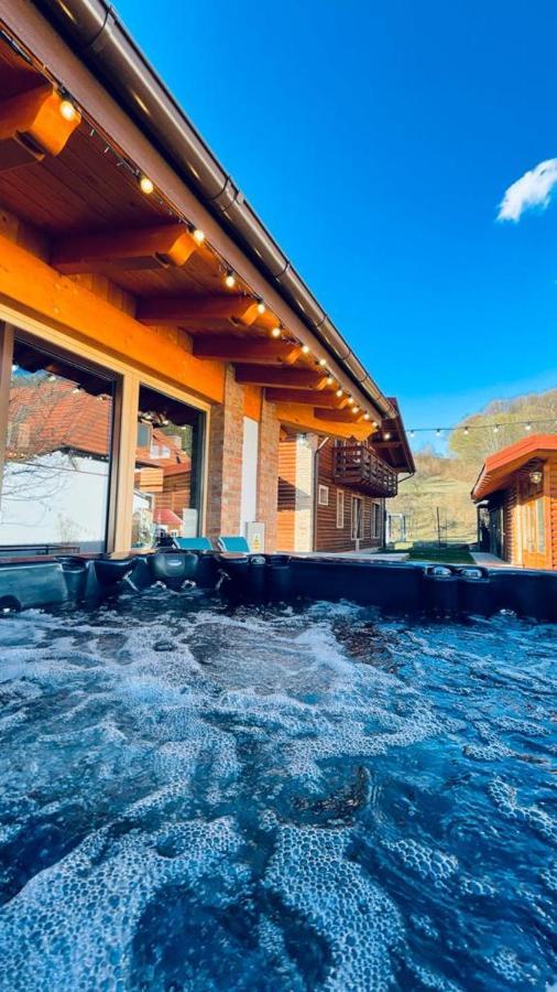 Villa Diva Budureasa Luaran gambar