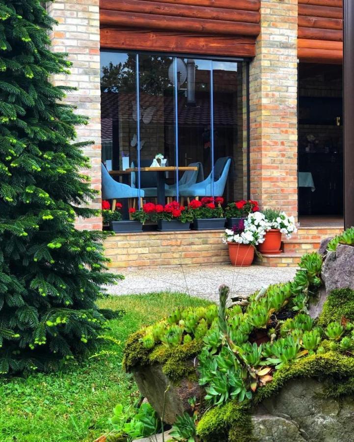 Villa Diva Budureasa Luaran gambar