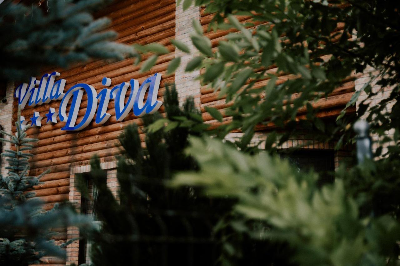 Villa Diva Budureasa Luaran gambar